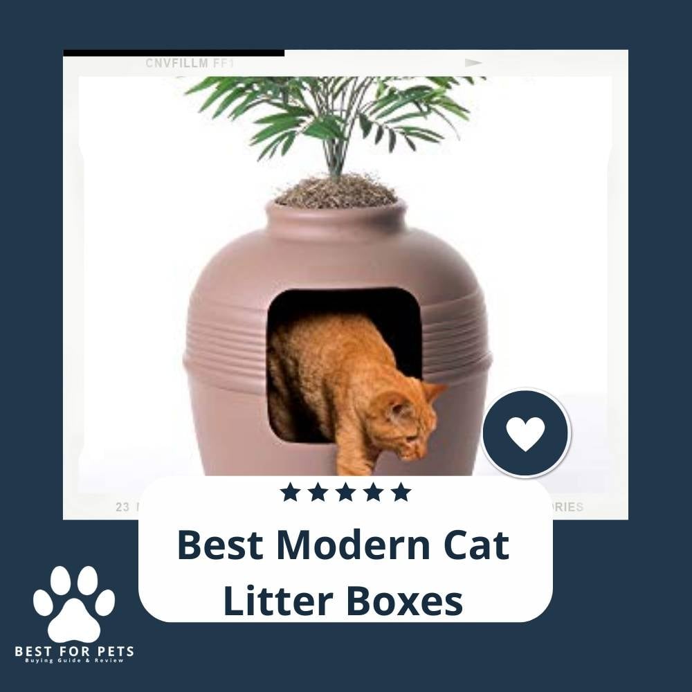 i1zXCYhLv-best-modern-cat-litter-boxes