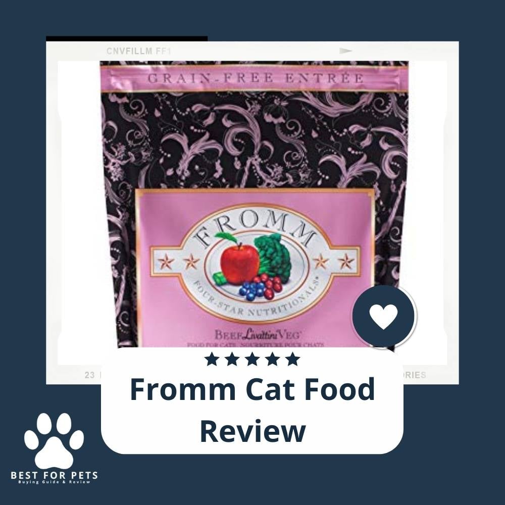 80NSJKAO-fromm-cat-food-review