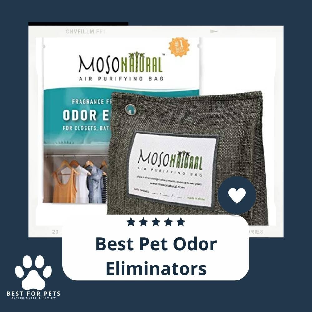 t_TVt5cGw-best-pet-odor-eliminators