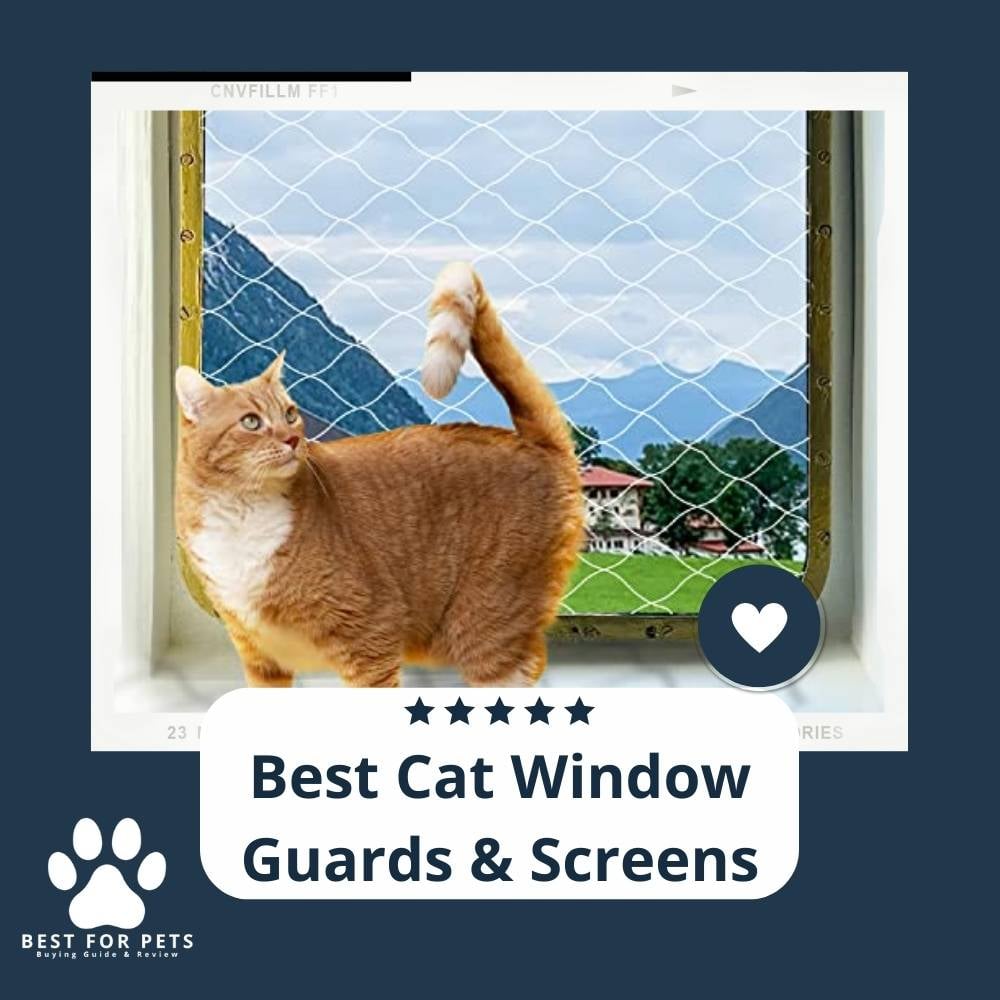 HkbfZO780-best-cat-window-guards-and-screens