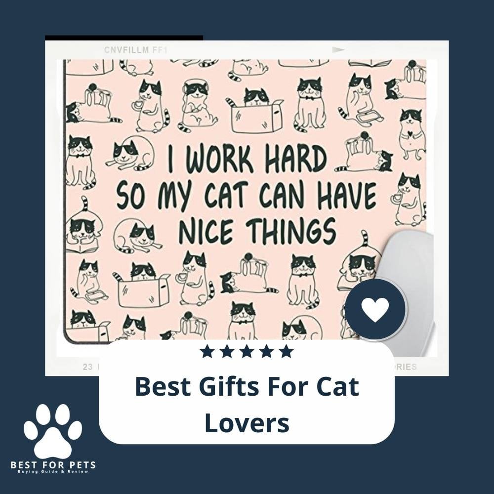xs6w-4Wvs-best-gifts-for-cat-lovers
