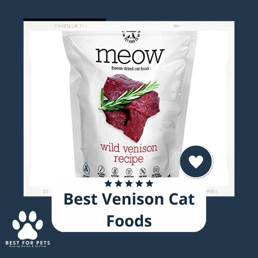 LFIa8kjRe-best-venison-cat-foods