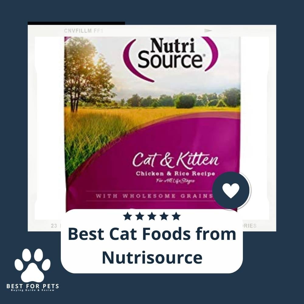 pZRfnphKH-best-cat-foods-from-nutrisource