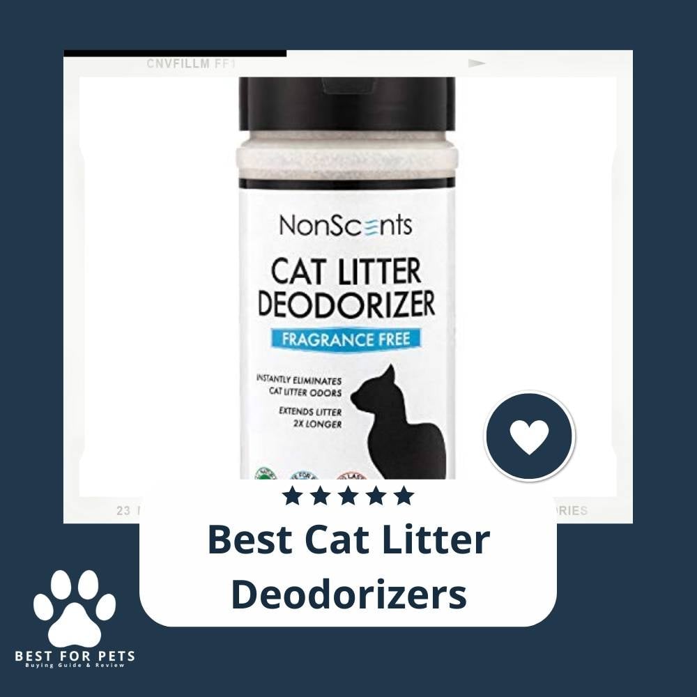 hvdBRRjzZ-best-cat-litter-deodorizers