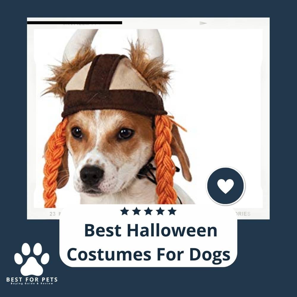 YFkCOKOpl-best-halloween-costumes-for-dogs