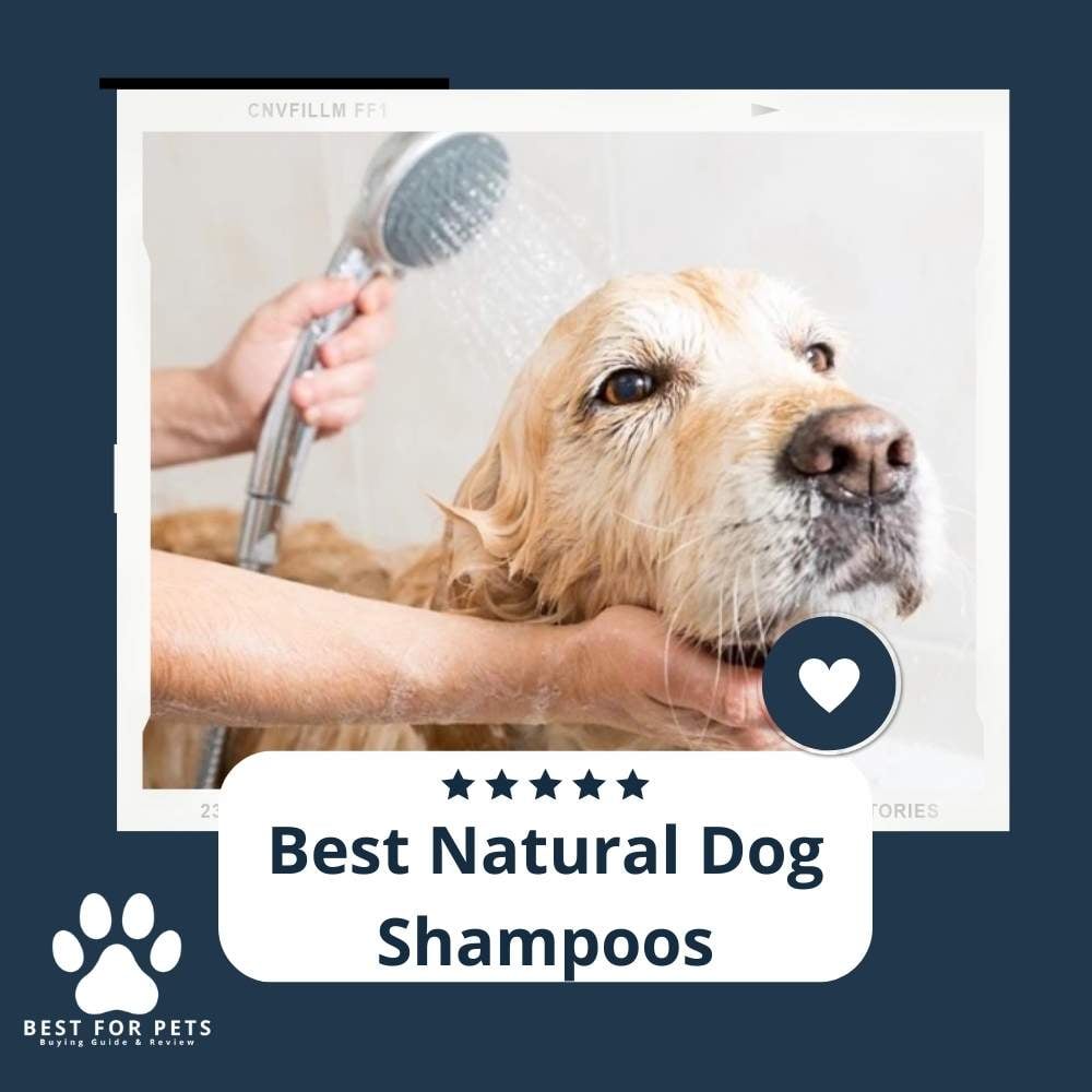 XPiz9-2Bn-best-natural-dog-shampoos