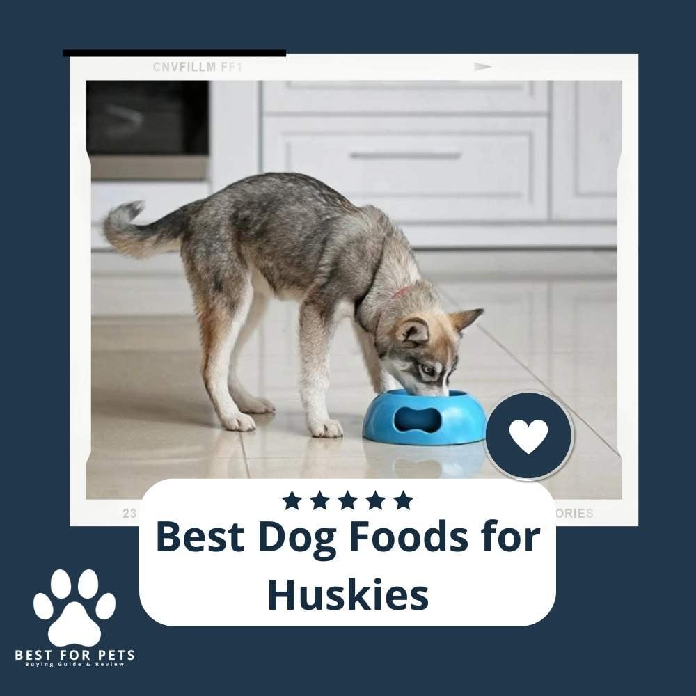 PaG3MXWlJ-best-dog-foods-for-huskies