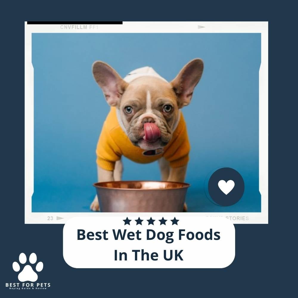 Vq6h_ASKd-best-wet-dog-foods-in-the-uk