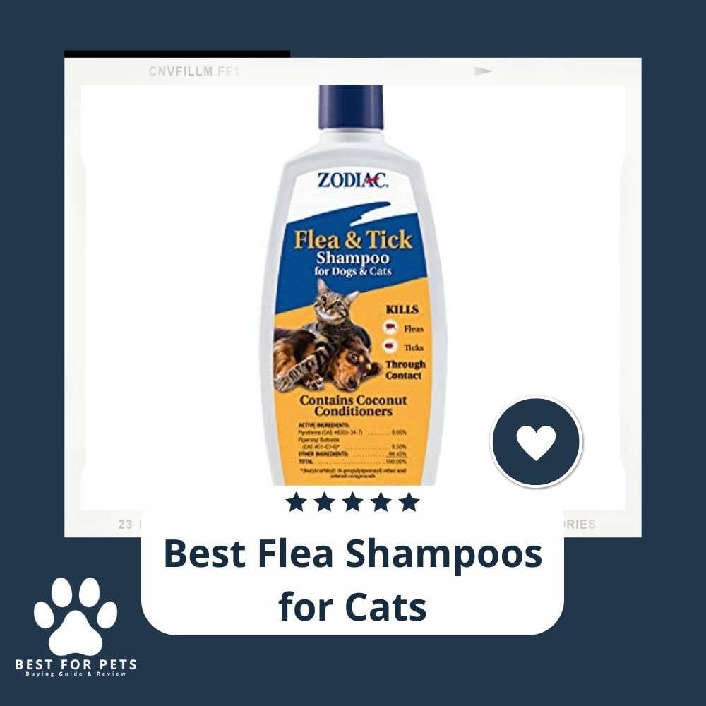 j8btt1hnm-best-flea-shampoos-for-cats