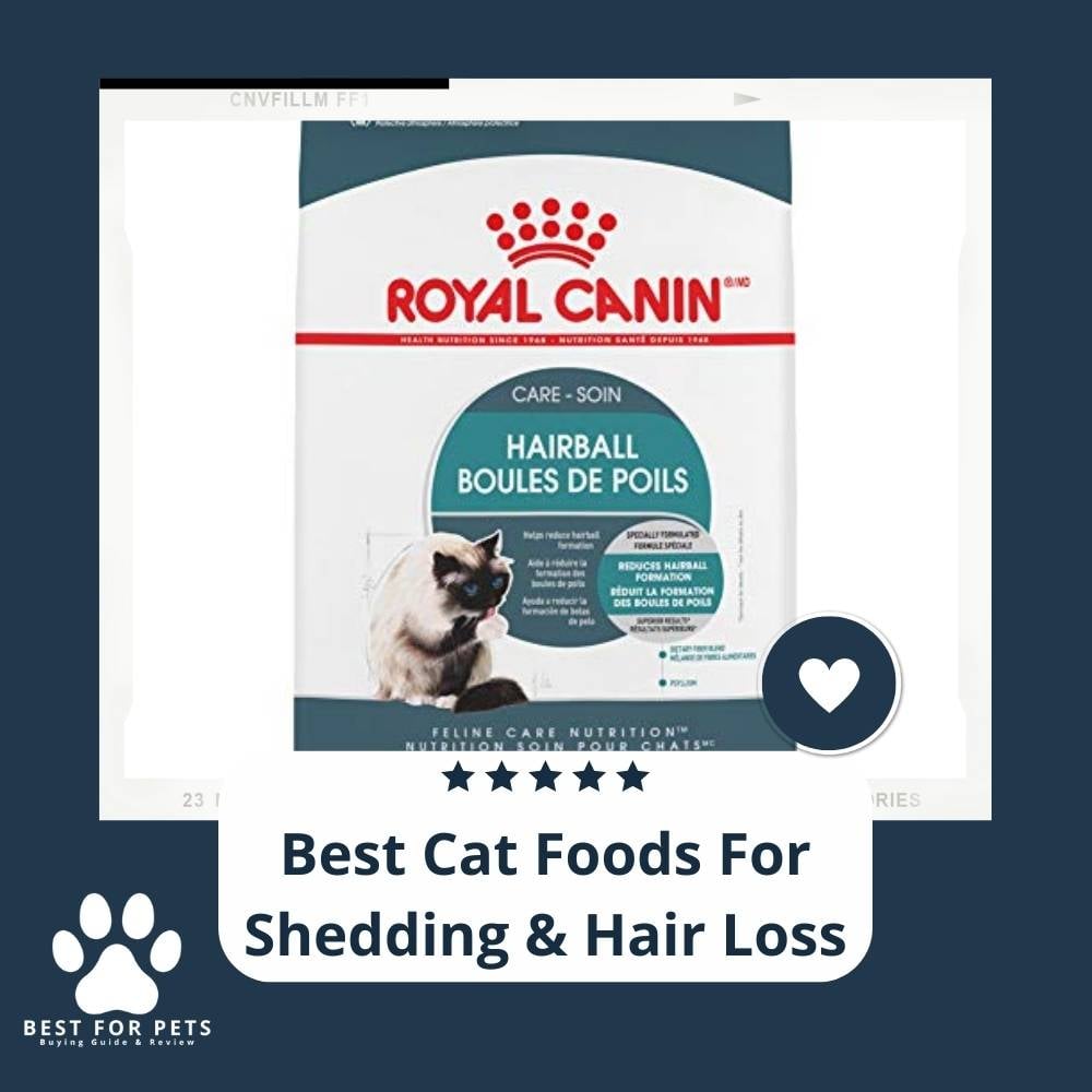 WOxEaV4NZ-best-cat-foods-for-shedding-and-hair-loss