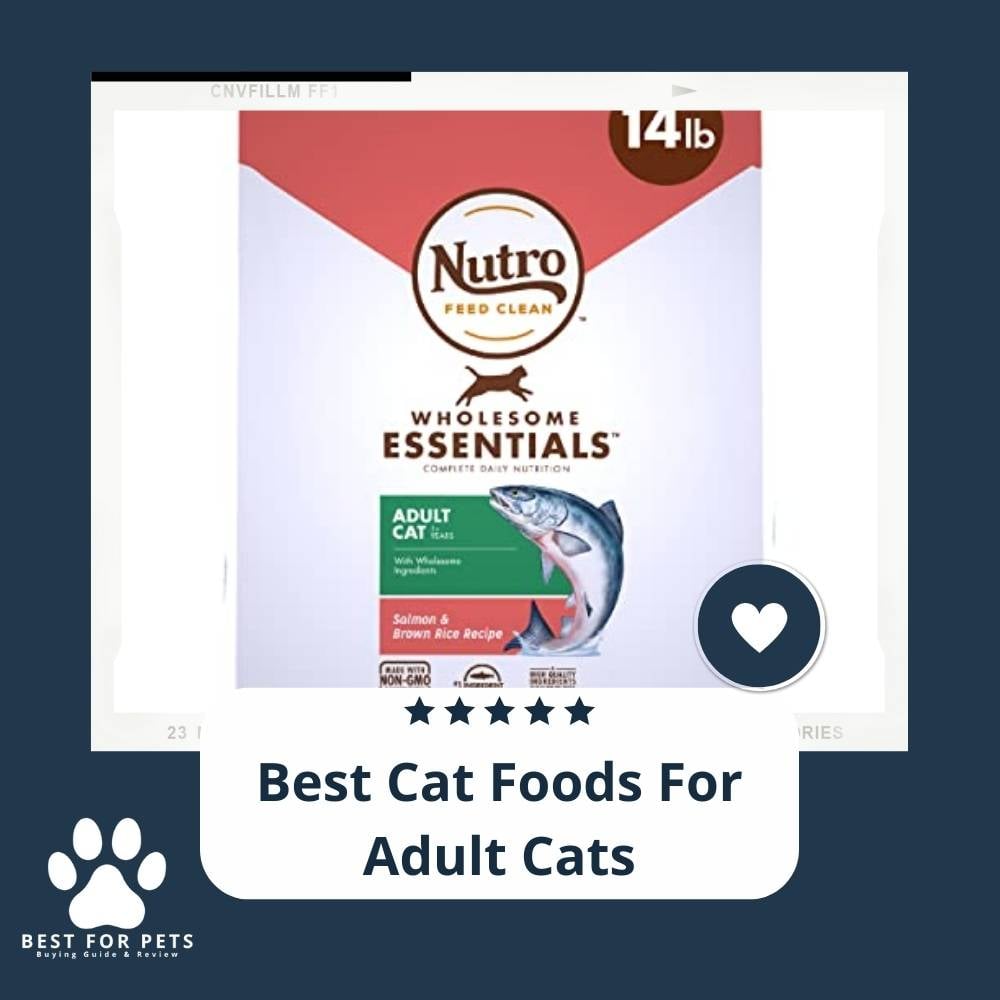 JTl8ykqzV-best-cat-foods-for-adult-cats