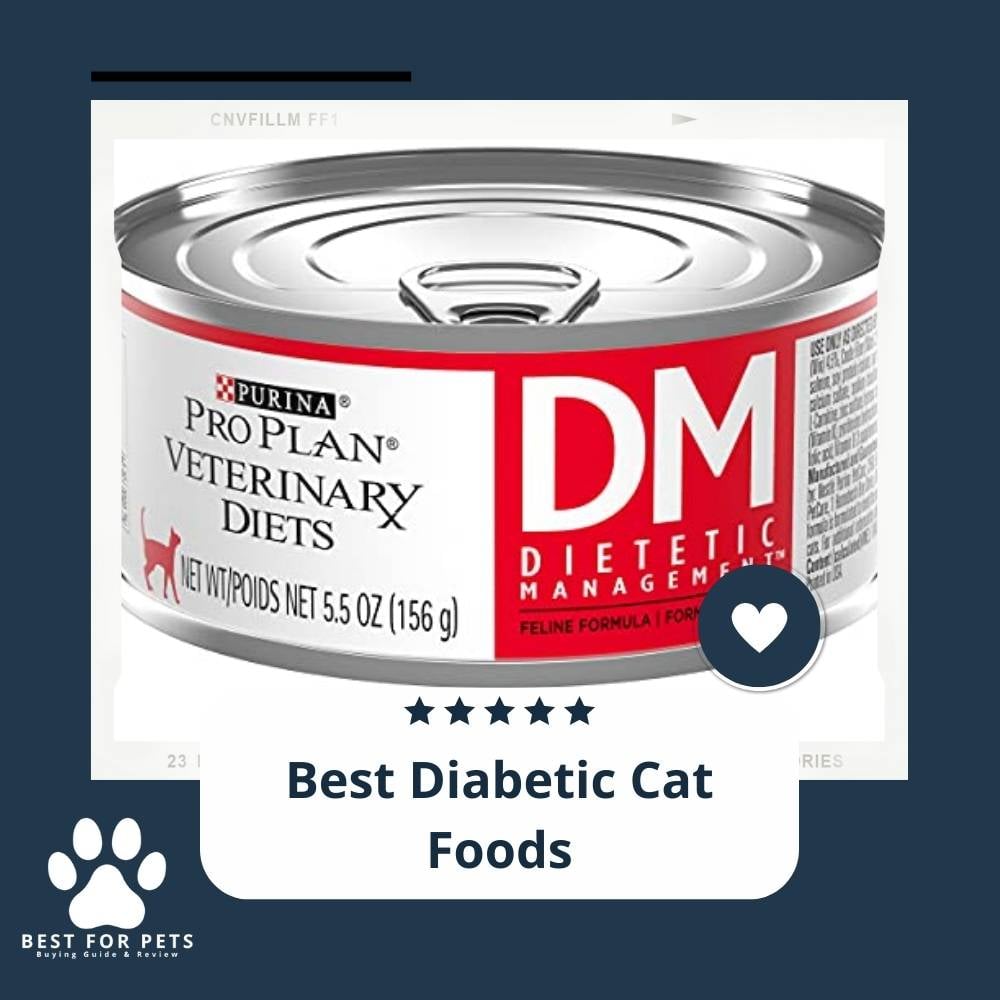 UU_hyTkzw-best-diabetic-cat-foods