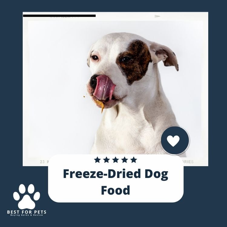 Freeze-Dried Dog Food