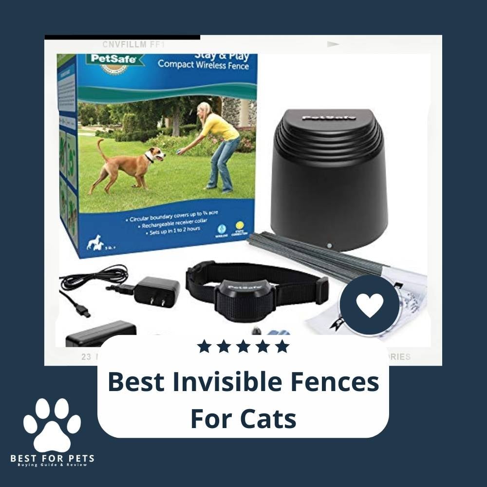 F_LVNHVzZ-best-invisible-fences-for-cats
