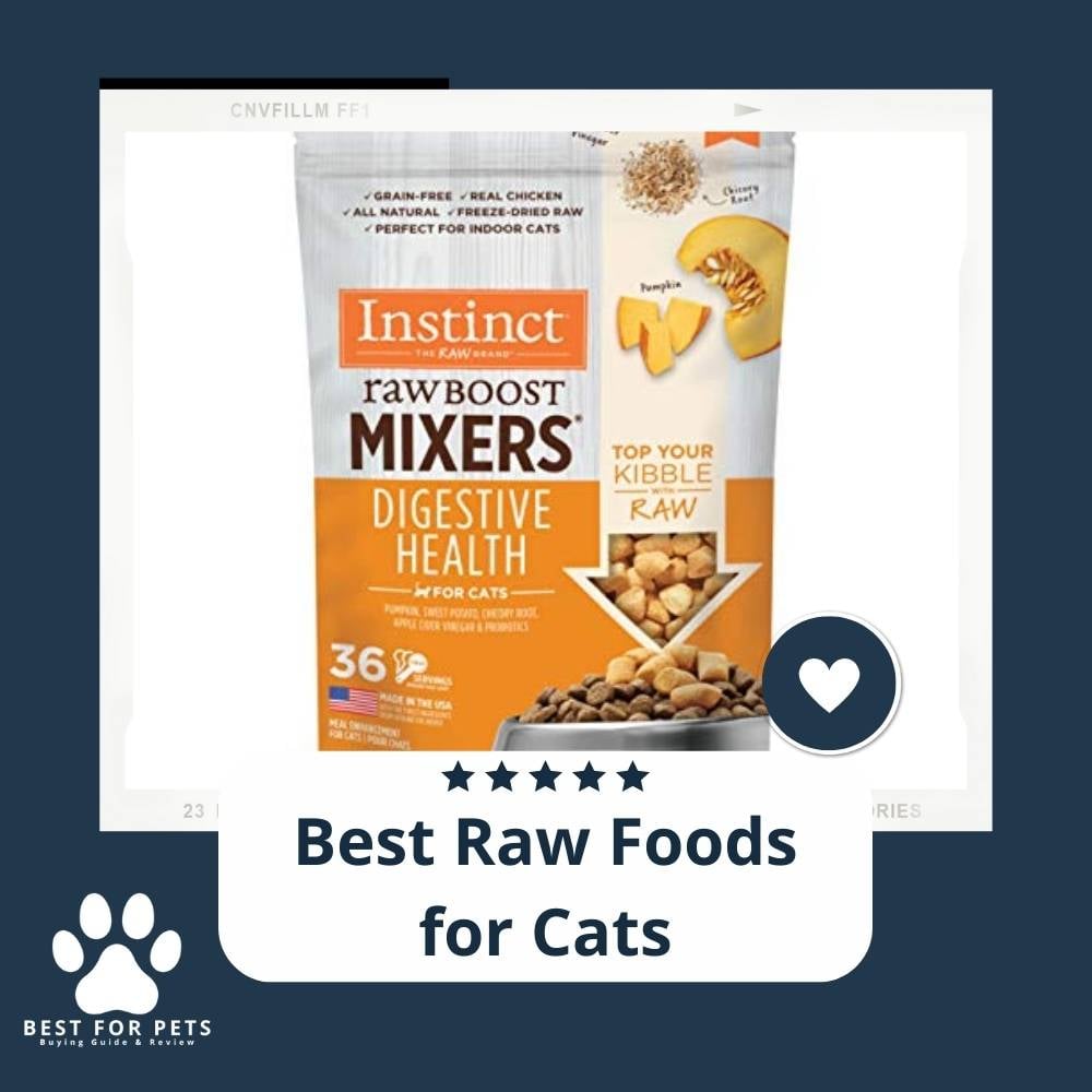 0pIpQ4rtU-best-raw-foods-for-cats