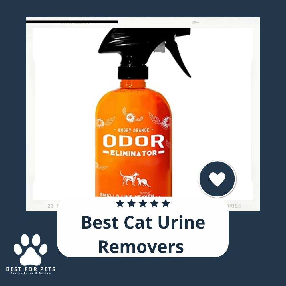 FYE-AUXbY-best-cat-urine-removers