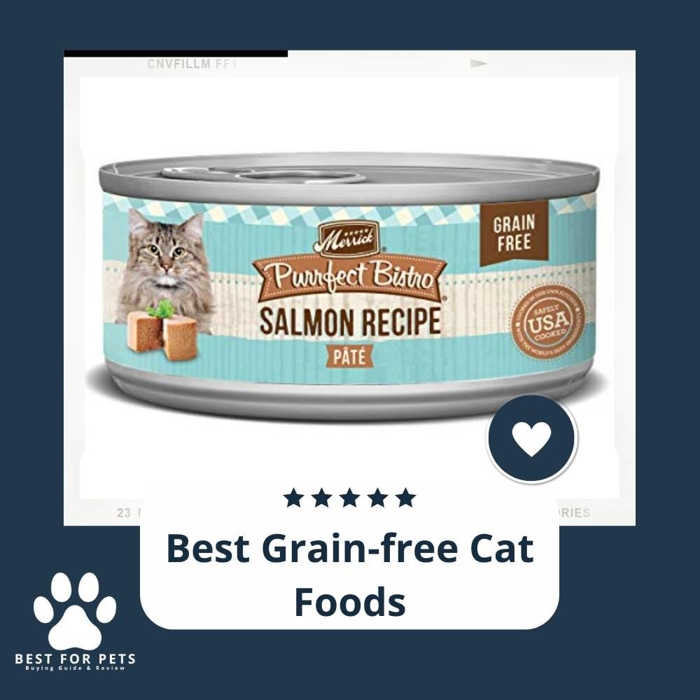 Kafwc_8Bl-best-grain-free-cat-foods
