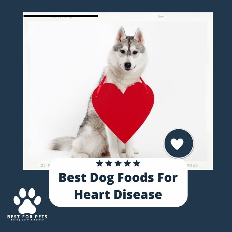 Best Dog Foods For Heart Disease 1