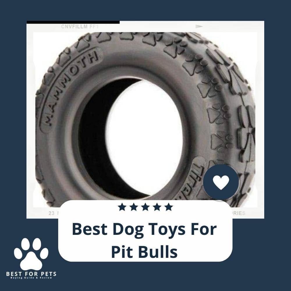 wUB27Igqk-best-dog-toys-for-pit-bulls