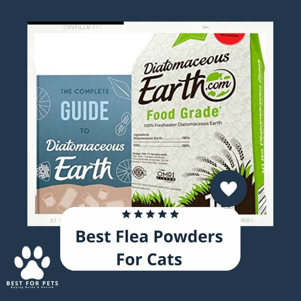 1CyXxElKa-best-flea-powders-for-cats