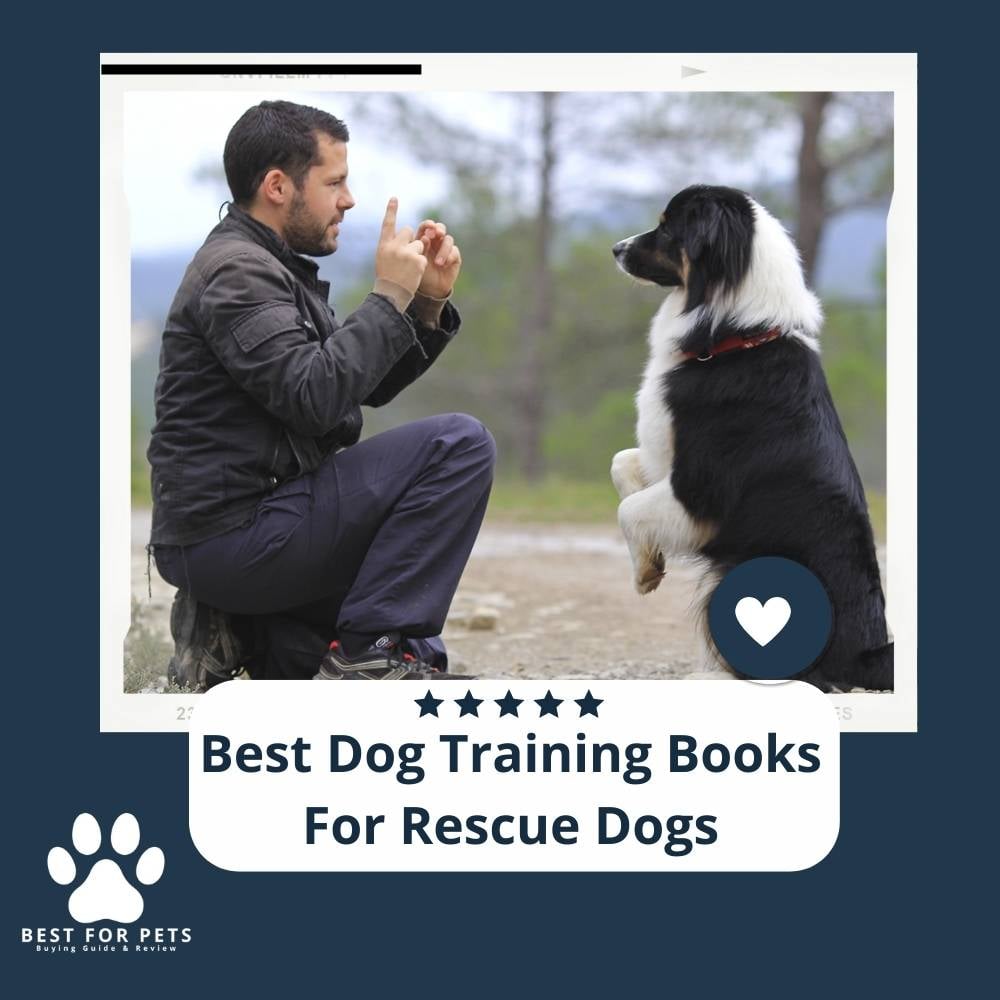 PcTF_oBsw-best-dog-training-books-for-rescue-dogs