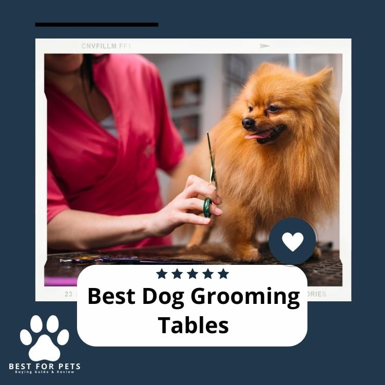 Best Dog Grooming Tables, Best Dog Grooming Tables - Best For Pets
