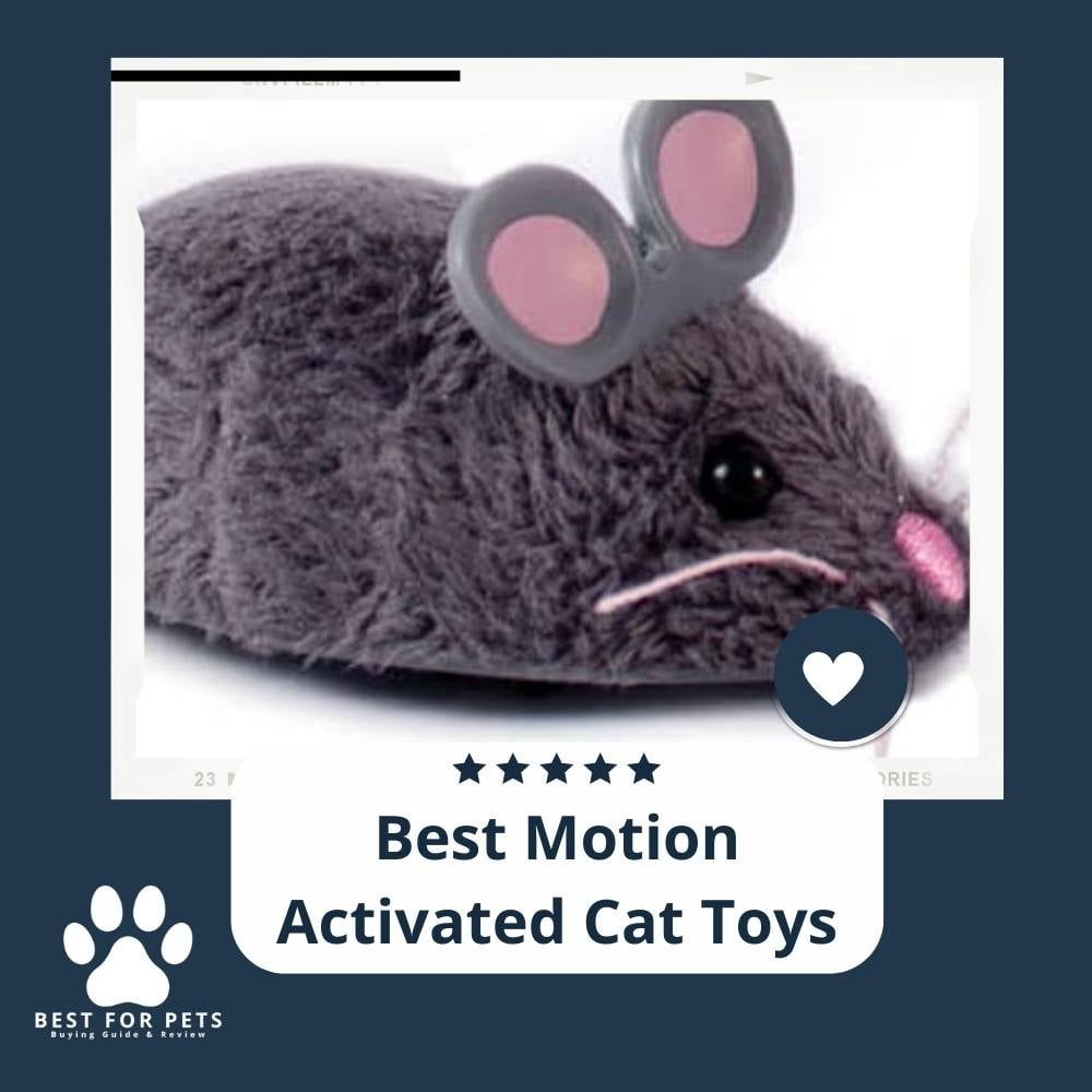 Cat Toys - The 11 Best Motion Activated Cat Toys - BestForPets
