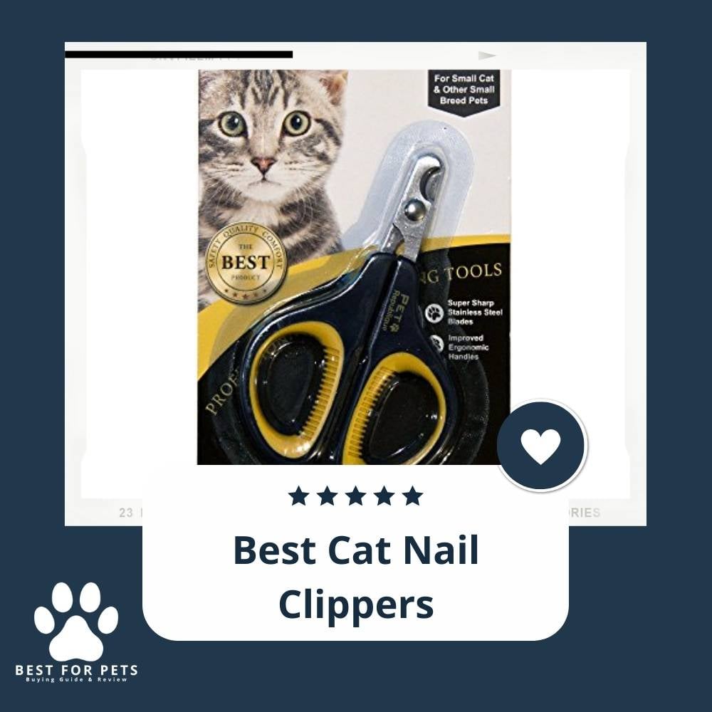 WrvFvA_aR-best-cat-nail-clippers