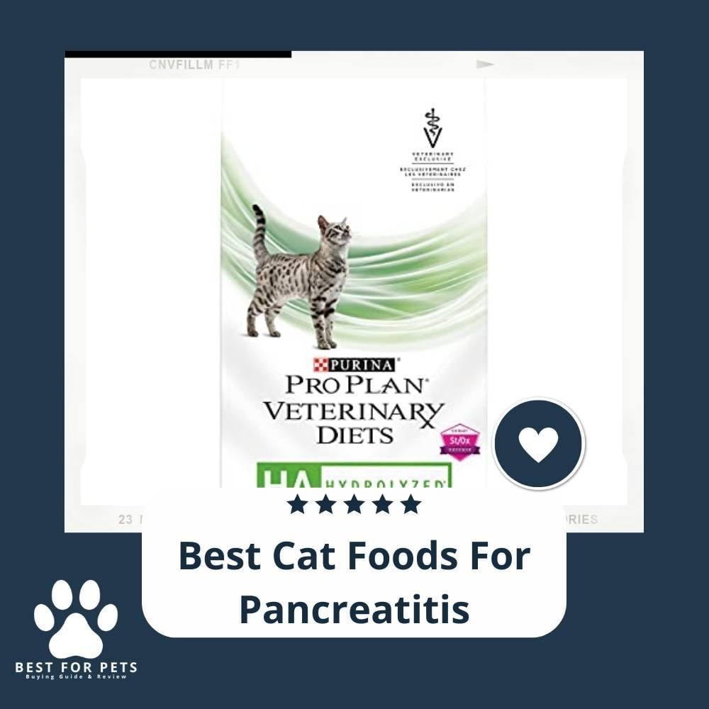 MHIvLGwHb-best-cat-foods-for-pancreatitis