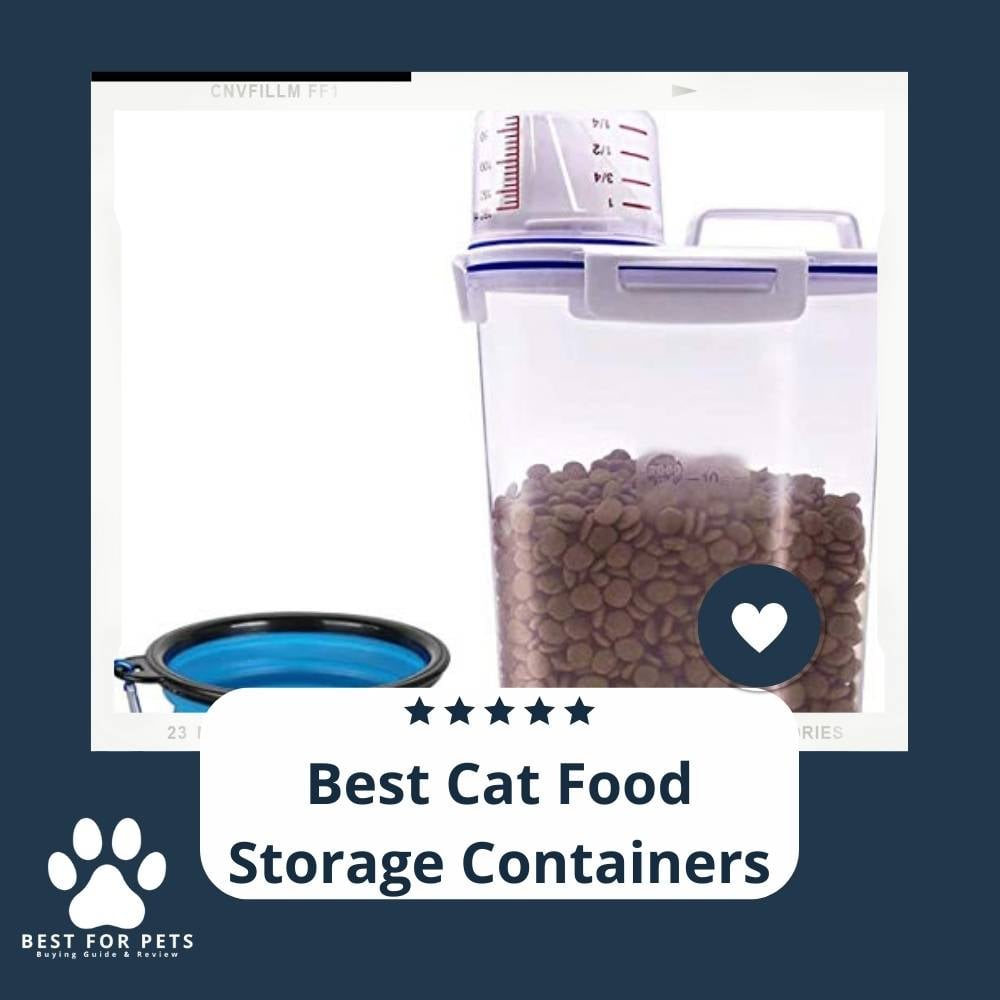 9-GtYzScL-best-cat-food-storage-containers