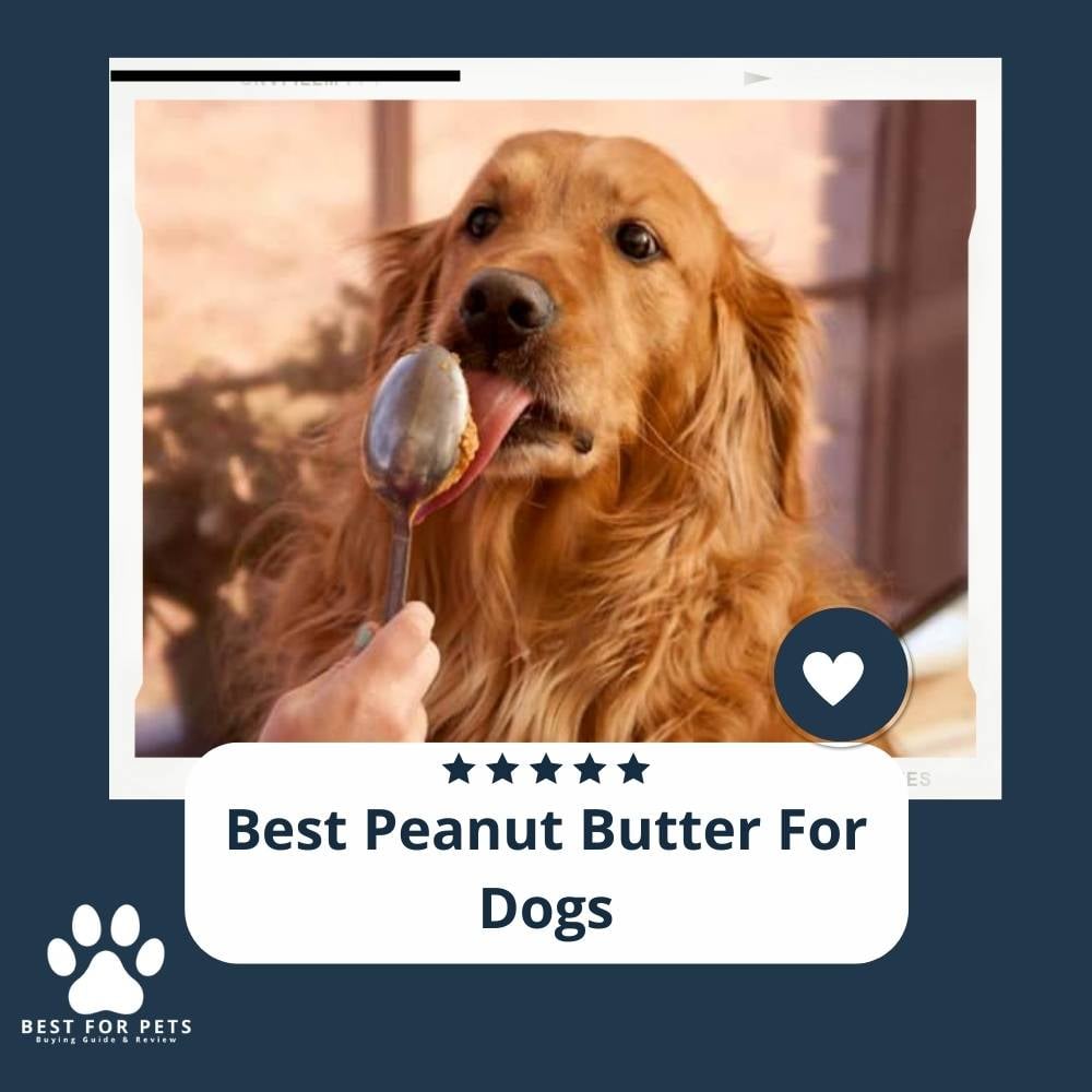Em2Ca3Ji3-best-peanut-butter-for-dogs