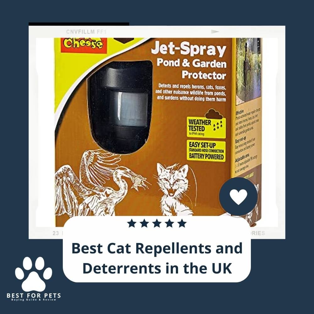 Vb2oSVRdl-best-cat-repellents-and-deterrents-in-the-uk