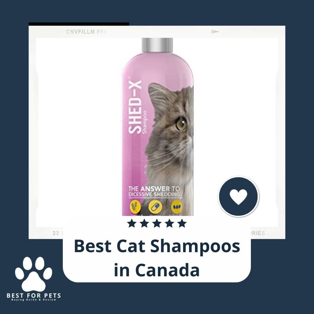 k0E9bSPh6-best-cat-shampoos-in-canada