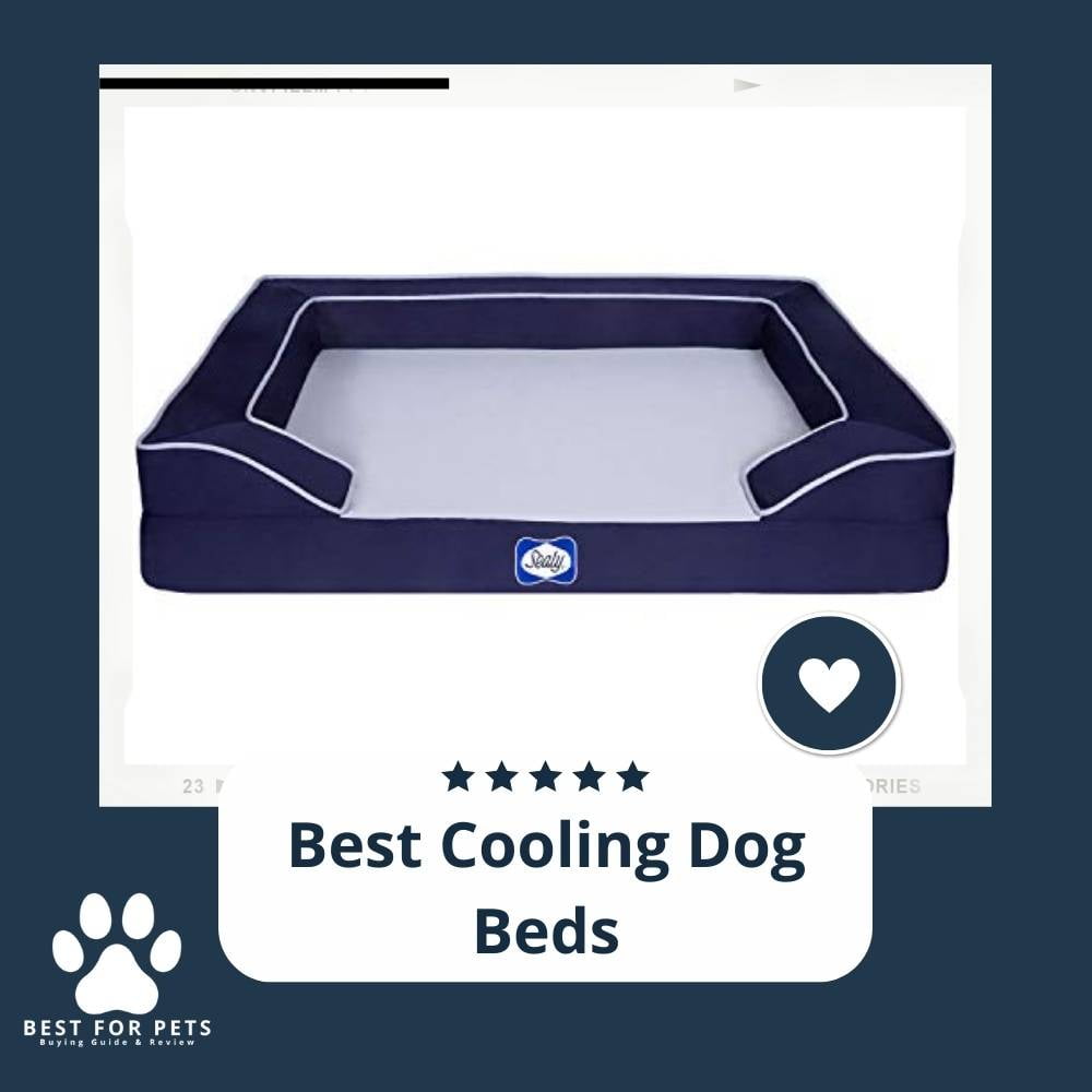 HizjVPF7A-best-cooling-dog-beds