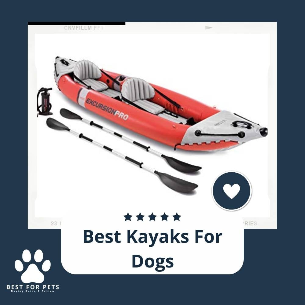 QnRk32cwp-best-kayaks-for-dogs