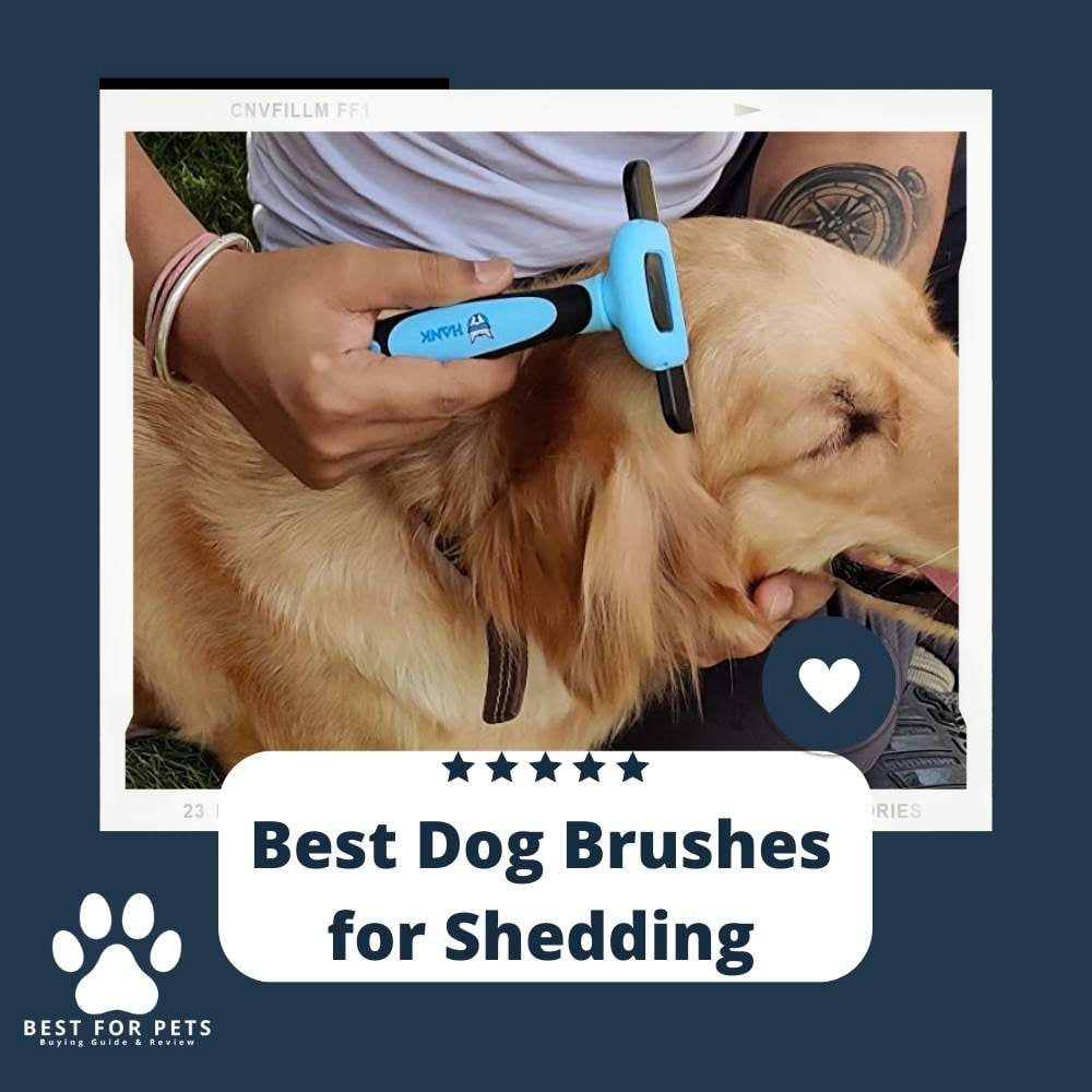 VCM-h0crv-best-dog-brushes-for-shedding