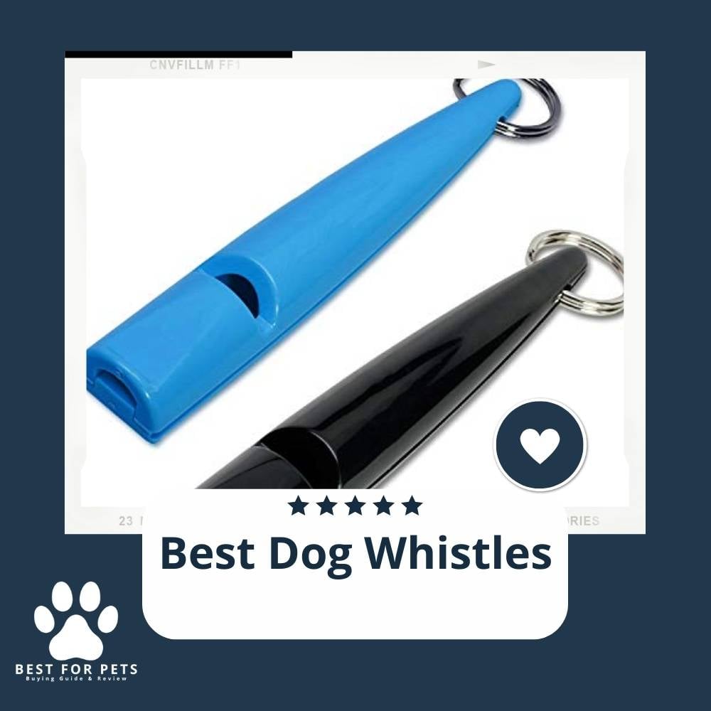 JrRgsLGrm-best-dog-whistles