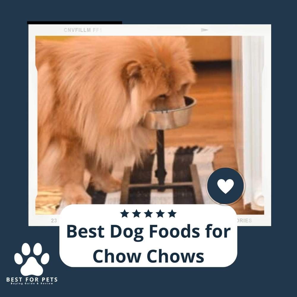 Eeb_4txID-best-dog-foods-for-chow-chows