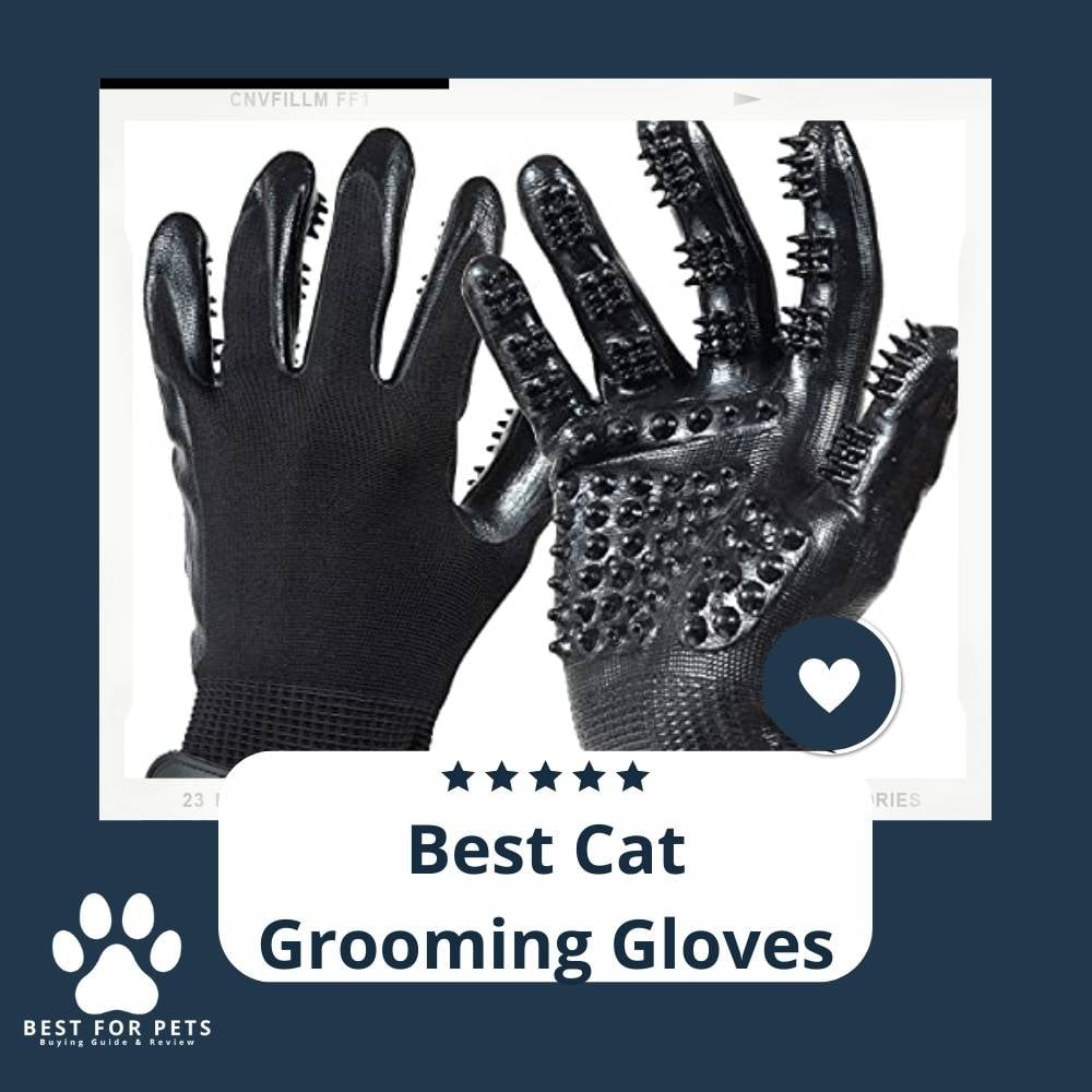 kzawqvXzN-best-cat-grooming-gloves