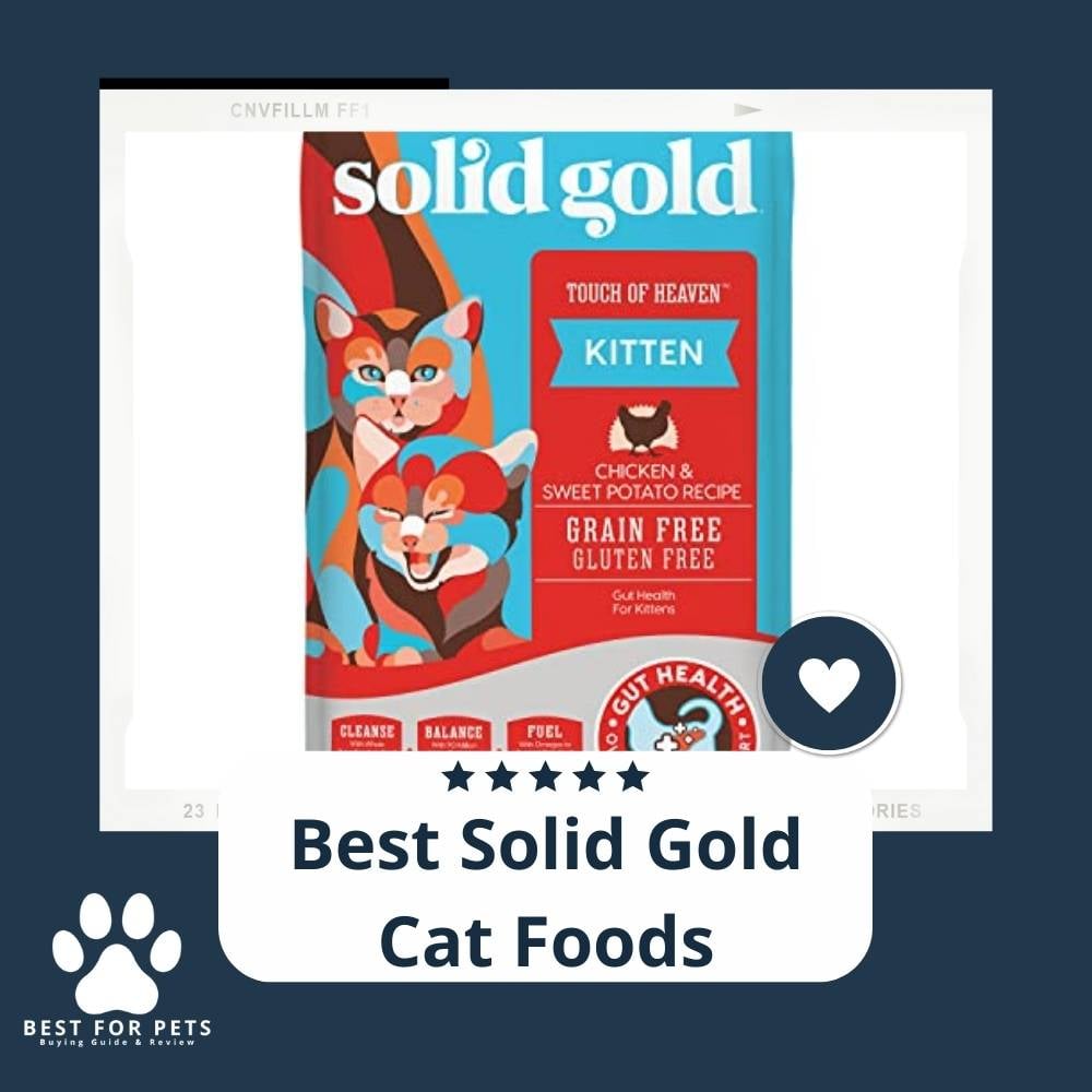 dQThr5FgK-best-solid-gold-cat-foods