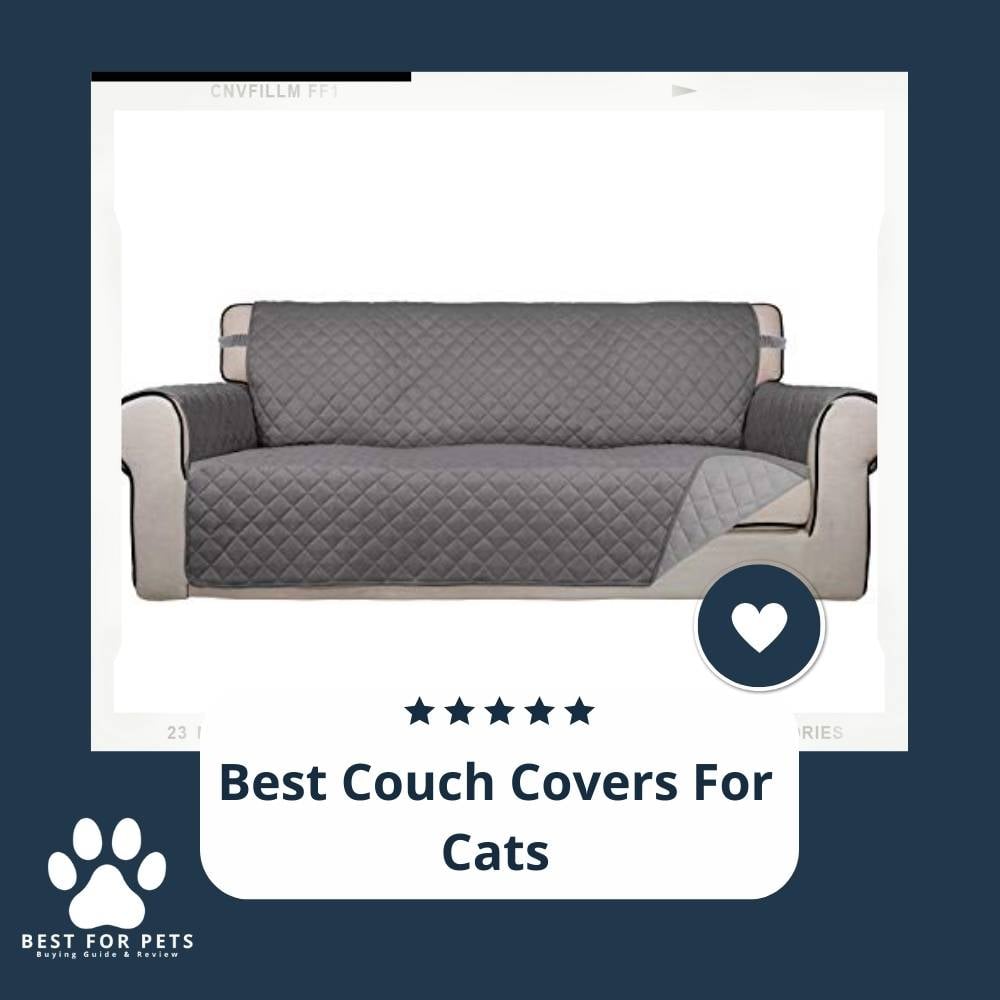 PCaXpbvmx-best-couch-covers-for-cats