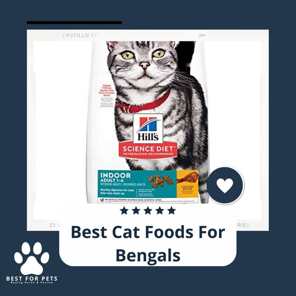 85WO0W3tA-best-cat-foods-for-bengals