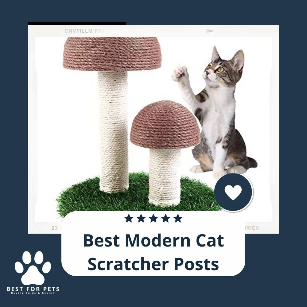 ov4M4pS_j-best-modern-cat-scratcher-posts
