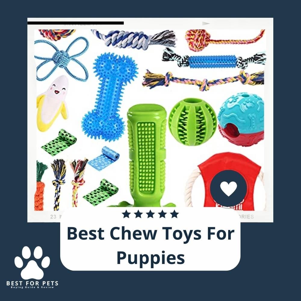 LRbbPfvwm-best-chew-toys-for-puppies
