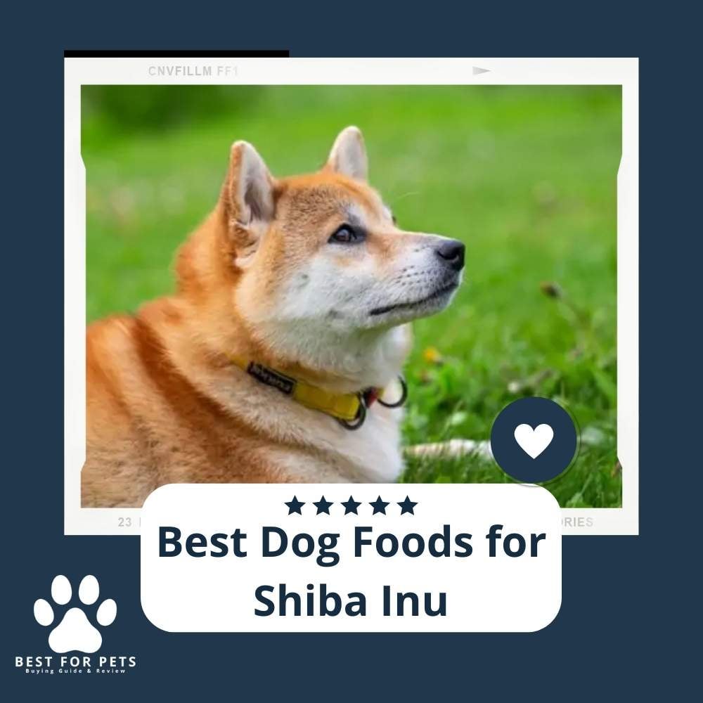 ToF4zY4DR-best-dog-foods-for-shiba-inu