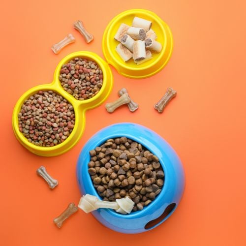 Bowls with dry pet food on color background