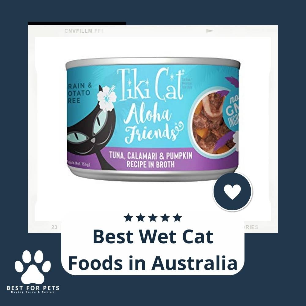 veCHA9YXx-best-wet-cat-foods-in-australia