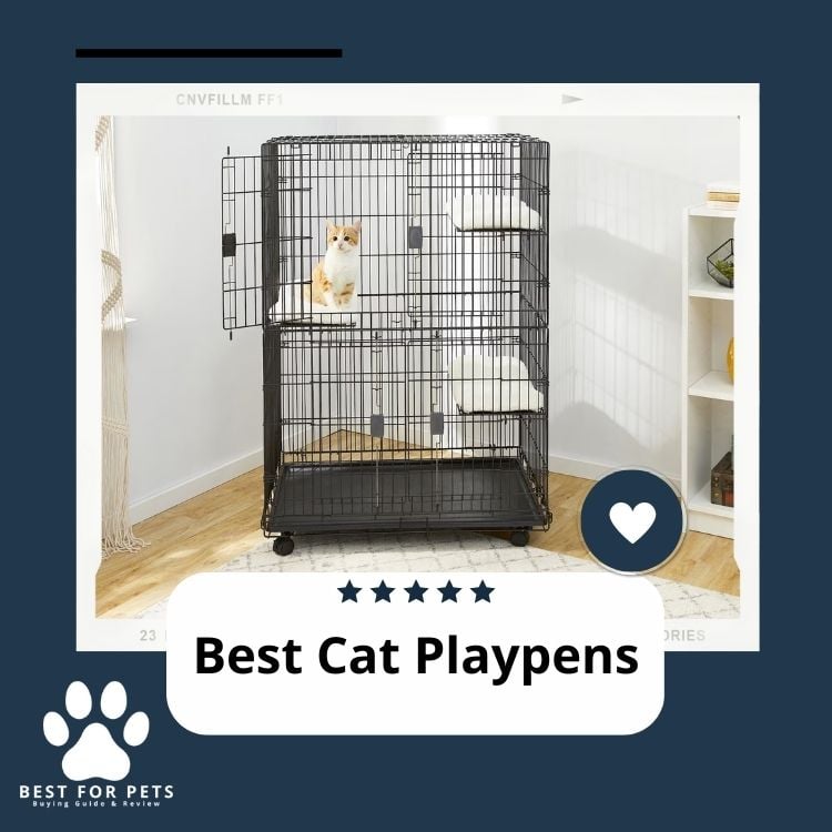 Best Cat Playpens