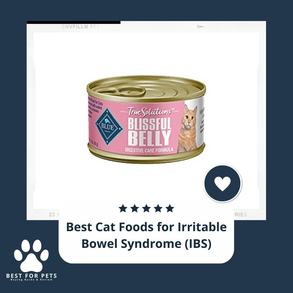 5E0EqsuKN-best-cat-foods-for-irritable-bowel-syndrome