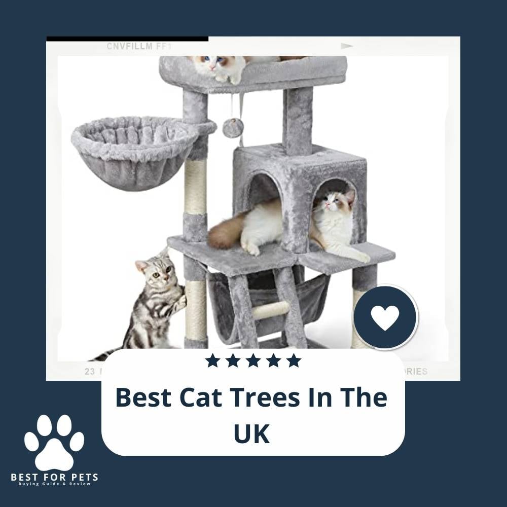 F3w1KAAbS-best-cat-trees-in-the-uk